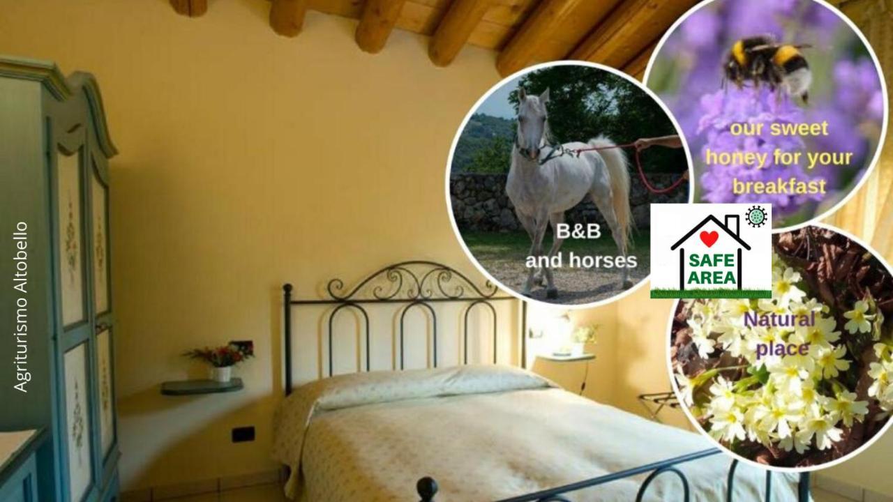 Agriturismo Altobello Verona Exterior foto